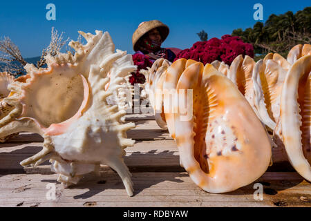 HAINAN, CHINA - JANUARY, 14: On Hainan beaches, locals sell many Souvenirs, including a variety of sea shells on 16 january 2014 Stock Photo