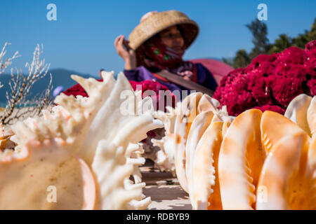 HAINAN, CHINA - JANUARY, 14: On Hainan beaches, locals sell many Souvenirs, including a variety of sea shells on 16 january 2014 Stock Photo