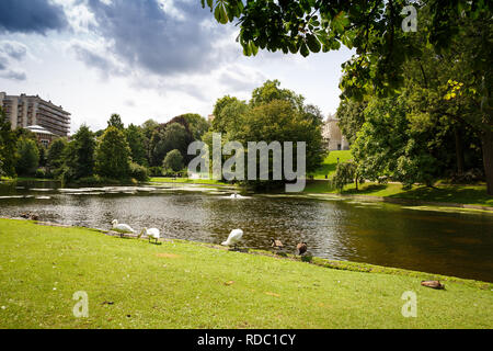 Leopold park with pond, birds and people in Brussels, Belgium. Stock Photo