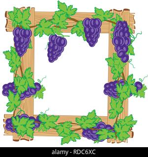 Frame from boards twining grapevine on white background Stock Vector
