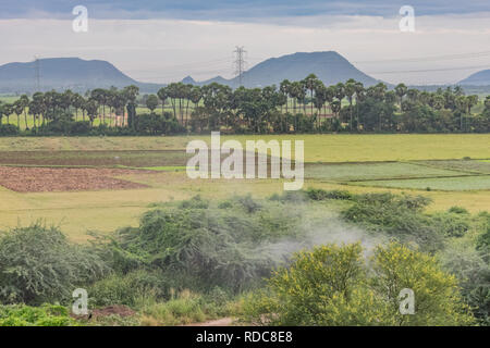 fire smoke flowing from small bushes of trees with awesome greenery mountain view. Stock Photo