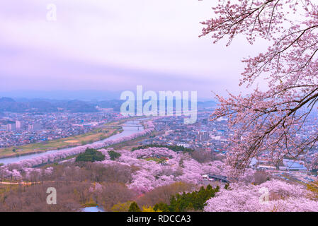 Cherry Blossom in Funaoka Castle Ruin Park, Miyagi prefecture, Japan Stock Photo