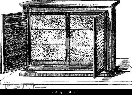 . The honey-bee; its nature, homes and products. Bees. 168 THE HONEY-BEE. by rotating the hive, and the different classes of the population can be studied, and their work surveyed in security and continuously. The unicomb hive may be stocked in various ways. The simplest plan is to take from a bar-frame hive the comb on which the queen is, and put it into the unicomb hive with as many more empty frames as will fill all the space intended for their reception.. ;!^^'fk!!ij,i!i;;^viii;?,, Fig. 59.—Unicomb Observatory Hive. In this way new clean comb will be made, giving a much better appearance t Stock Photo