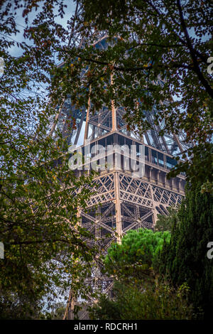 The Eiffel Tower in Paris, France seen through the trees Stock Photo