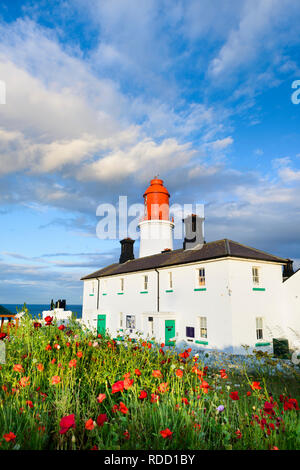 Heavy early evening clouds hang over National Trust Souter Lighthouse & coastline whilst colourful poppies dance with the wind in the foreground. Stock Photo