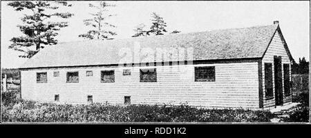 . Principles and practice of poultry culture . Poultry. Fit.;. -Jjo. Fattening and killing house al Macdonald f'ollcgc. f I'liotogiajjli from tht; crillcgc). !•!(.;. 23t. Fattening and killing house ait Maine Agricultural t'oliepe. (I'hoto- graph from the college). Please note that these images are extracted from scanned page images that may have been digitally enhanced for readability - coloration and appearance of these illustrations may not perfectly resemble the original work.. Robinson, John H. (John Henry), 1863-1935. Boston ; New York : Ginn and Company Stock Photo