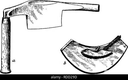 . Modern fruit marketing : a complete treatise covering harvesting, packing, storing, transporting and selling of fruit . Fruit trade. FRUIT PACKAGES 51. Fig. 36.—TOOLS FOR BARREL MAKING a—Chamfer knife for cutting the bevels on barrel staves; b—Crozer for cutting grooves in the staves for the bead. spaced, and allow for spring inside of the side pieces. (Fig. 35.) The nails used are four-penny, cement-coated, wire ones. A great many of the barrels are still set up in the factory and shipped or hauled to the place where used. A grower can easily set up the apple box, but it re- quires some out Stock Photo