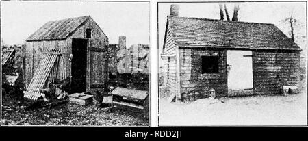 . Principles and practice of poultry culture . Poultry. Fk;. 17. A common style of' coop for chickens Fig. 18. A st.-u-k gives shade at ail times. Fic, 19. Old-style coop, witliout windows Fit;. 20. Cookhouse on the {arm of F. V. C. Almv. Please note that these images are extracted from scanned page images that may have been digitally enhanced for readability - coloration and appearance of these illustrations may not perfectly resemble the original work.. Robinson, John H. (John Henry), 1863-1935. Boston ; New York : Ginn and Company Stock Photo