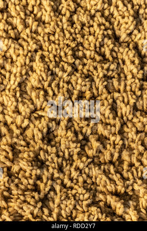 Carpet texture for the floor close-up as background. Stock Photo