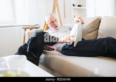 A happy senior man lying on a sofa indoors with a pet dog at home, reading. Stock Photo