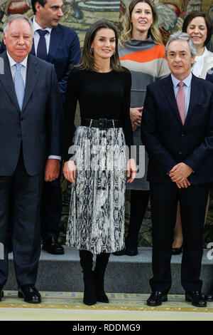 Madrid, Spain. 18th Jan, 2019. Queen Letizia attends royal audiences at Zarzuela Palace in Madrid, Spain on the 18th of january of 2019 January18, 2019. Credit: Jimmy Olsen/Media Punch ***No Spain***/Alamy Live News Stock Photo