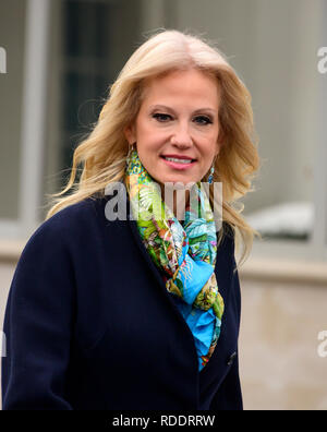 Washington, United States Of America. 18th Jan, 2019. Senior Counselor Kellyanne Conway walks on the north driveway to participate in a network interview at the White House in Washington, DC on Friday, January 18, 2019. Credit: Ron Sachs/CNP | usage worldwide Credit: dpa/Alamy Live News Stock Photo