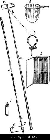 . A practical treatise on the use of the microscope, including the different methods of preparing and examining animal, vegetable, and mineral structures. Microscopes; Microscopy. 384 MANIPULATION. with in all kinds of stagnant and putrid water, whilst the more highly organized are only to be found in clear ponds and in streams where they attach themselves to the stems and under sides of the leaves of aquatic plants, or even to small pieces of wood or other vegetable matters that are either floating or kept beneath the surface of the water. Some kinds are found near the surface, others in the  Stock Photo