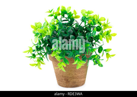 Plastic plant in pot isolated on white background. Stock Photo