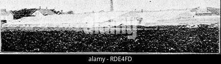 . Dreer's vegetables under glass : a little handbook telling how to till the soil during twelve months of the year. Vegetables; Cold-frames. CHAPTER VI. THE GREAT MODERN FORCING HOUSES. There are but few larger glass houses in the world than the one-acre structures at the Dreer grounds, at Riverton, New Jersey, and it is, therefore, not out of place for a book with the Dreer imprint to speak with some authority upon methods of turning winter into summer. These glass houses at Riverton, however, are not used for the commercial production of winter vegetables, and so we. VEGETABLE FORCING HOUSES Stock Photo
