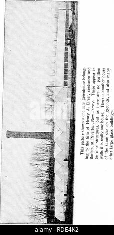 . Dreer's vegetables under glass : a little handbook telling how to till the soil during twelve months of the year. Vegetables; Cold-frames. . Please note that these images are extracted from scanned page images that may have been digitally enhanced for readability - coloration and appearance of these illustrations may not perfectly resemble the original work.. Dreer, Henry A. Philadelphia : Henry A. Dreer, Incorporated Stock Photo