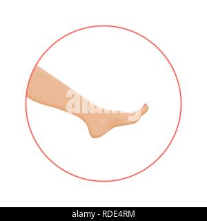 Healthy foot in circle with pedicure. Ancle, knee and toes Stock Vector