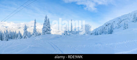 Wide panoramic view of winter landscape with snow covered trees and Alps in Seefeld in the Austrian state of Tyrol. Winter in Austria Stock Photo