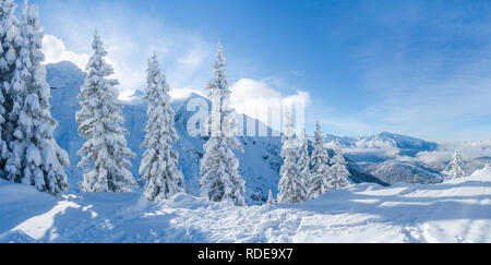 Wide panoramic view of winter landscape with snow covered trees and Alps in Seefeld in the Austrian state of Tyrol. Winter in Austria Stock Photo