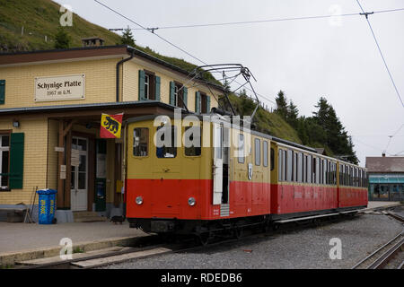 Narrow-gauge cog railway, the Schynige Platte Railway, Summit Station, Schynige Platte, Bernese Oberland, Switzerland Stock Photo