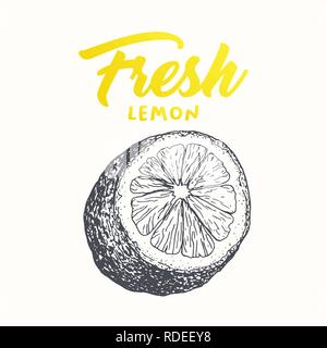 Fresh lemon vector banner template. Sketch fruit clipart. Sliced lemon engraving style drawing. Handwritten calligraphy, lettering. Isolated citrus color design element. Shop sign, store logo Stock Vector