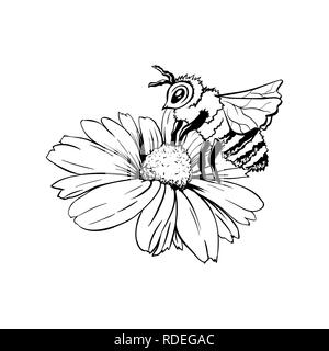Beekeepers Wanted  Flower drawing Drawings Clover tattoos