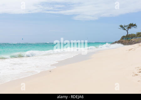A white beach at Silver Sands on Barbados. Ocean waves roll in. Kitesurfers play in the safe waters off-shore.