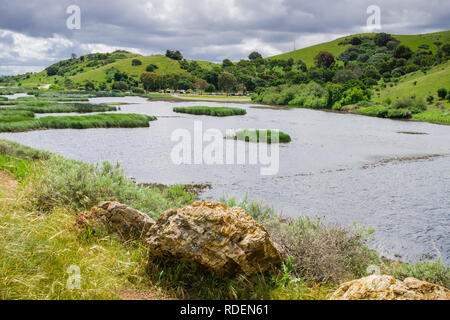 Pond in Coyote Hills Regional Park on a cloudy spring day, east San Francisco bay, California Stock Photo