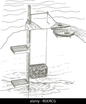 The Effects Of Muddy Creek On The Biology Of The Lower Sun River