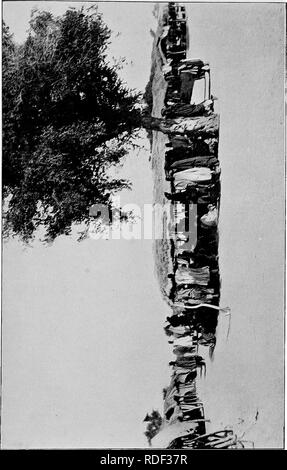 . From the Niger to the Nile. Alexander-Gosling Expedition; Birds. H H. Please note that these images are extracted from scanned page images that may have been digitally enhanced for readability - coloration and appearance of these illustrations may not perfectly resemble the original work.. Alexander, Boyd, 1873-1910; Talbot, Percy Amaury, 1877-1945. London, E. Arnold Stock Photo