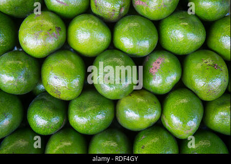 Stack of fresh shiny green avocados in a full frame close-up background Stock Photo