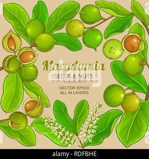 macadamia vector frame on color background Stock Vector