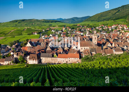 Early morning overlooking Eglise Protestant and medieval village of Riquewihr, along the Wine Route, Alsace, Haut-Rhin, France Stock Photo