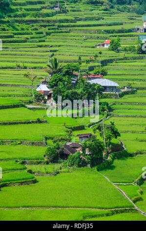 Hapao rice terraces, part of the world heritage sight Banaue, Luzon, Philippines Stock Photo