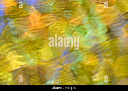 Reflection of treetops with autumn leaves on a wavy water surface, North Rhine-Westphalia, Germany Stock Photo