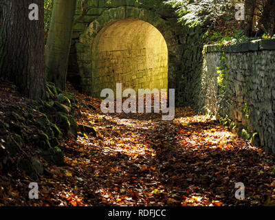golden Autumn sunshine filters through stone archway with fallen leaves creating green glow & spotlighting foliage on wall in Cumbria, England, UK Stock Photo