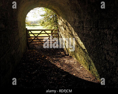 golden Autumn sunshine filters through stone archway with fallen leaves creating green glow & spotlighting foliage on wall in Cumbria, England, UK Stock Photo