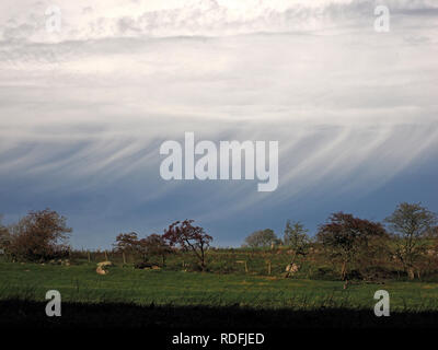 rural landscape with trees in Cumbria, England, UK featuring background of sweeping Wispy Cirrus clouds Stock Photo