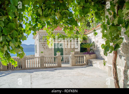 Traditional stone house and grape vine, Rose village, Boka Kotorska, Kotor Bay, Montenegro. Stock Photo