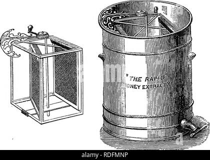 . A manual of bee-keeping. Bees. 122 A MANUAL OF BEE-KEEPING. held in place by a central spindle working in the bottom of the can and the frame of the top. The turn- ing of the handle gives motion, which sets the inter- nal wire-frame revolving. The machine is chiefly appli- cable to frame hives; full honeycombs with their frames are taken from the hive, the Bees smartly shaken or brushed off, then if the honey cells are sealed, they are carefully shaved off with a bent knife heated in hot. Fig. 49. Fig. 50. water. The frames are placed in the wire cage of the machine; a few turns of the handl Stock Photo