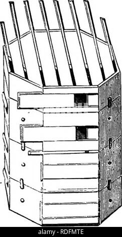 . A manual of bee-keeping. Bees. HIVES. 97 order that the sun and rain shall not draw the seams apart. Stewarton Hive.âThis is a very celebrated hive in common use about Stewarton, in Ayrshire, where, as elsewhere, it has produced most excellent results; and when better known, will be found worthy of more general employment. In the Apiarian Exhibition at the Crystal Palace, in 1874, a magnificent display of the finest white clover honey was made in the Stewarton supers; the purity, quantity, and beauti- ful regularity of the combs were worthy of the prize and general high commendation it obtai Stock Photo