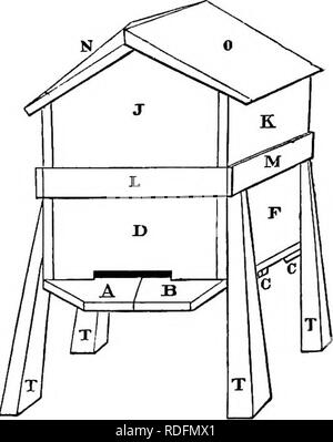 . A manual of bee-keeping. Bees. HIVES. 91 keep them a proper distance apart. One of the most useful is to drive a stout wire pin or French wire nail into the side of the frame, about 5 an inch from the ends, projecting just far enough (about i9-32nds of an inch) to keep them at proper distance; two on each frame will be found sufficient, one at the top left side, the other at the bottom right side, with a similar peg in the left side of the {&amp; front, and ditto right side back. These hives are sold at various prices, from about 8j. to 25J., according to workmanship and completeness, wit Stock Photo