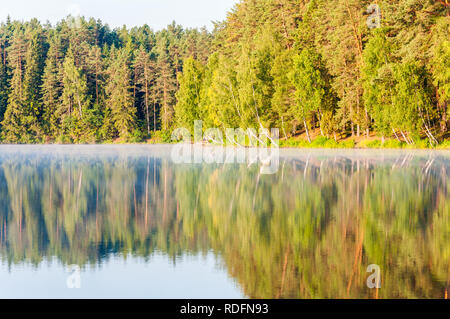 Amazing evergreen pine and spruce conifer and birch also trees forest with its reflection on lake surface at sunrise Stock Photo