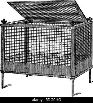 . Laboratory work in bacteriology. Bacteriology. 274 BACTEEIOIiOGY. The inoculated animals should be kept in glass jars, or in wire cages which can be readily sterilized. It is undesir- able and not safe to keep such animals in wooden boxes. White mice or rats can be kept in battery jars. These should be provided with a wire-gauze top, loaded down with a mass of lead. Fig. 46 shows such a jar and also the cru- cible or rat forceps ordinarily used. Rabbits, guinea-pigs, etc., can be kept in wire cages similar to the one shown in Fig. 47. By removing the four thumb-screws on the upper. Fig. 47.  Stock Photo