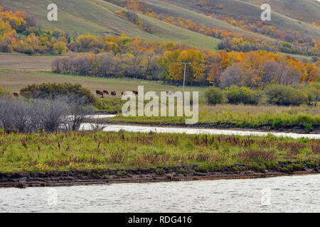 Qu'Appelle River, Qu'Appelle Valley, Saskatchewan, Canada Stock Photo