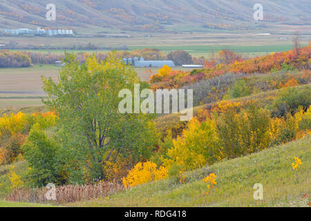 Autumn foliage on the slopes of the Qu'Appelle River Valley, Qu'Appelle ...