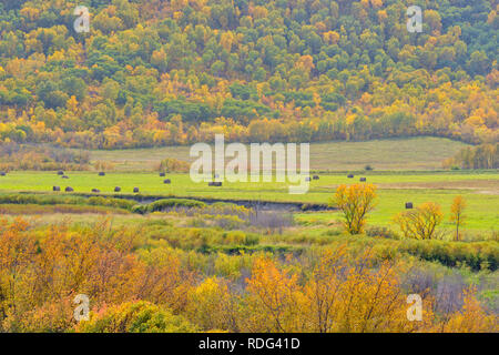 Autumn foliage on the slopes of the Qu'Appelle River Valley with agricultural land, Qu'Appelle Valley, Saskatchewan, Canada Stock Photo