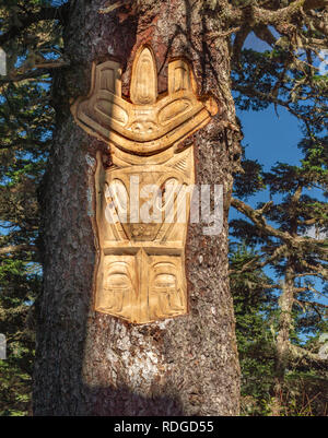 September 14, 2018 - Juneau, Alaska: Tlingit Native American carving on live tree, Alpine Trail, Mount Roberts, near tramway. Stock Photo