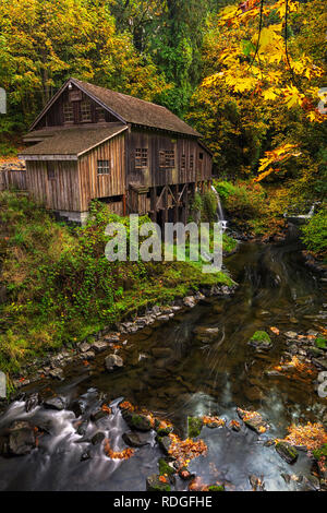 Leaves are changing colors and the salmon are running upstream which means it is Autumn at the Cedar Grist Mill in Washington State. Stock Photo