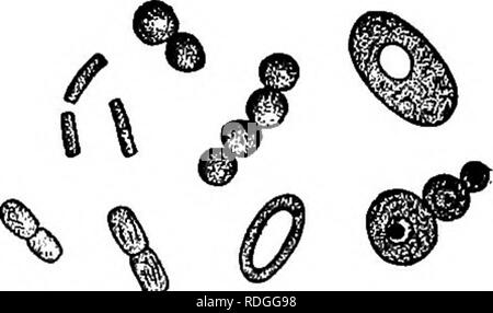 carbohydrates clipart black and white